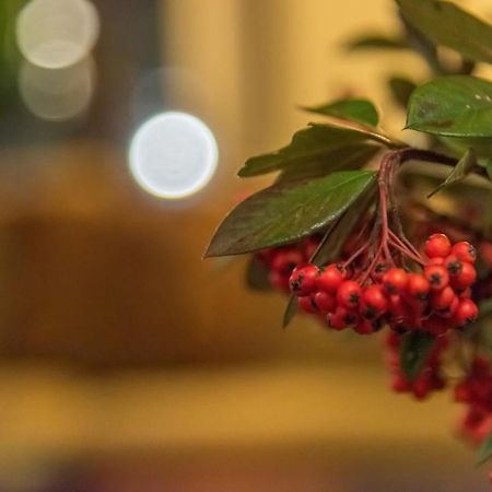 Hotel Arxontiko Krana Asprangeloi Zewnętrze zdjęcie